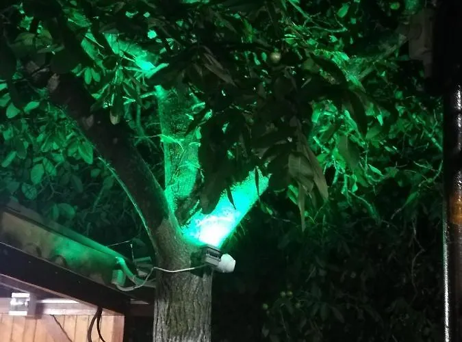 под ореха Pismenovo