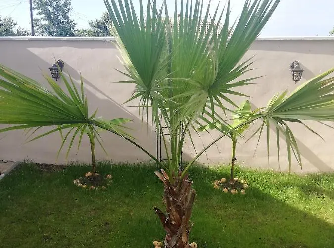 под ореха וילה